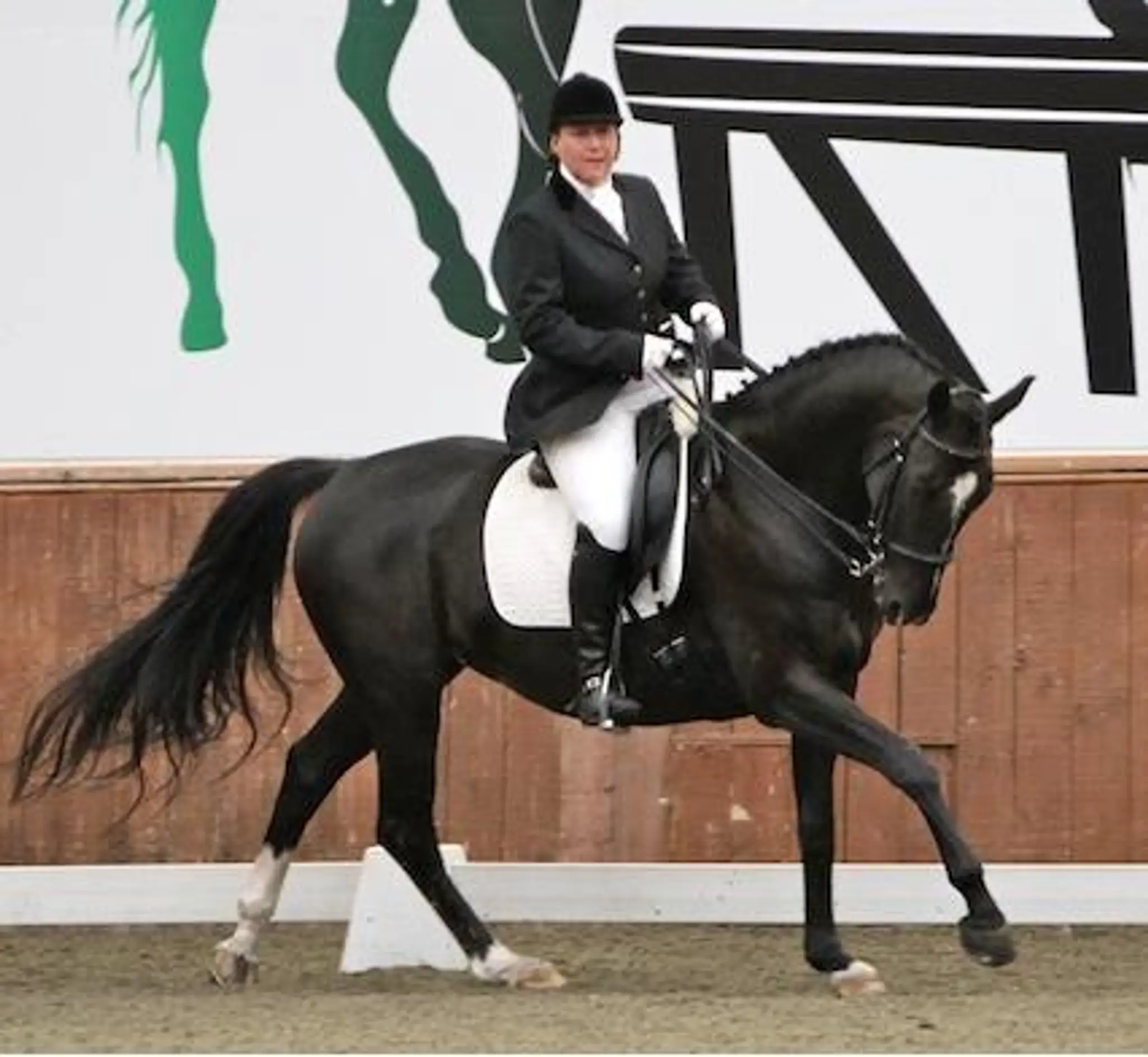 Owlbrook Stables Ltd