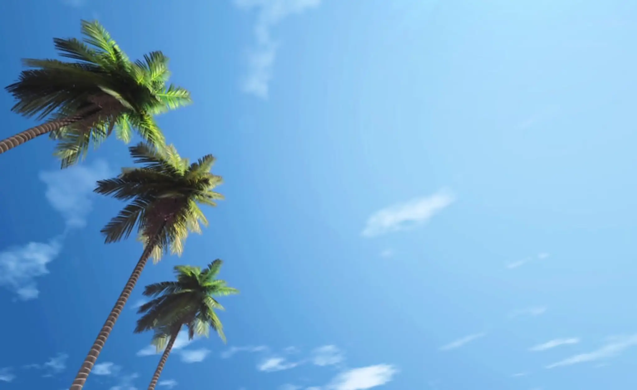 Master Kwon's Pro Tae Kwon Do Academy Kurnell