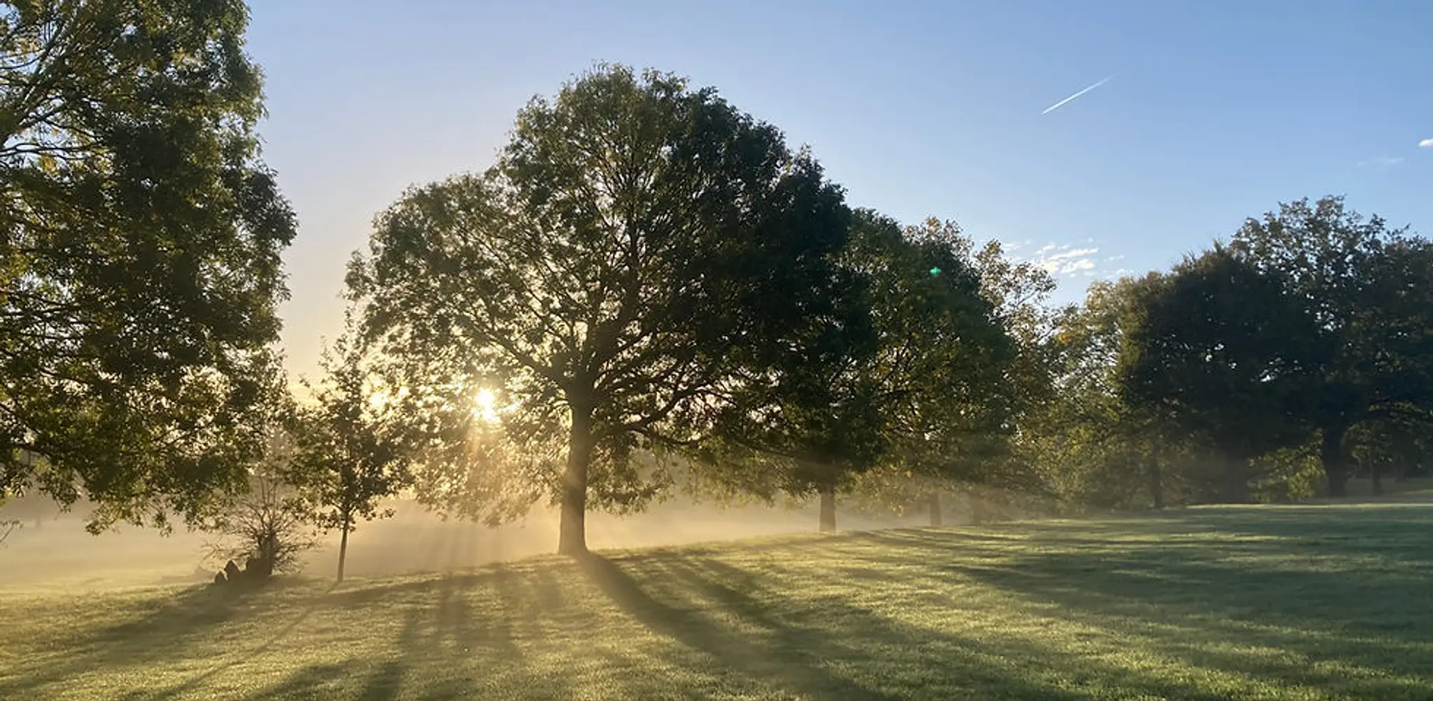 Hilly Fields Run Sessions