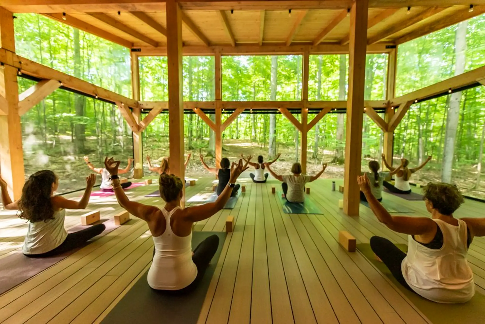 Vicki Tree Yoga and Wellness