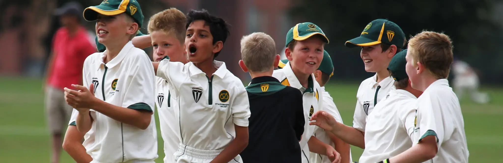 Staffordshire Cricket