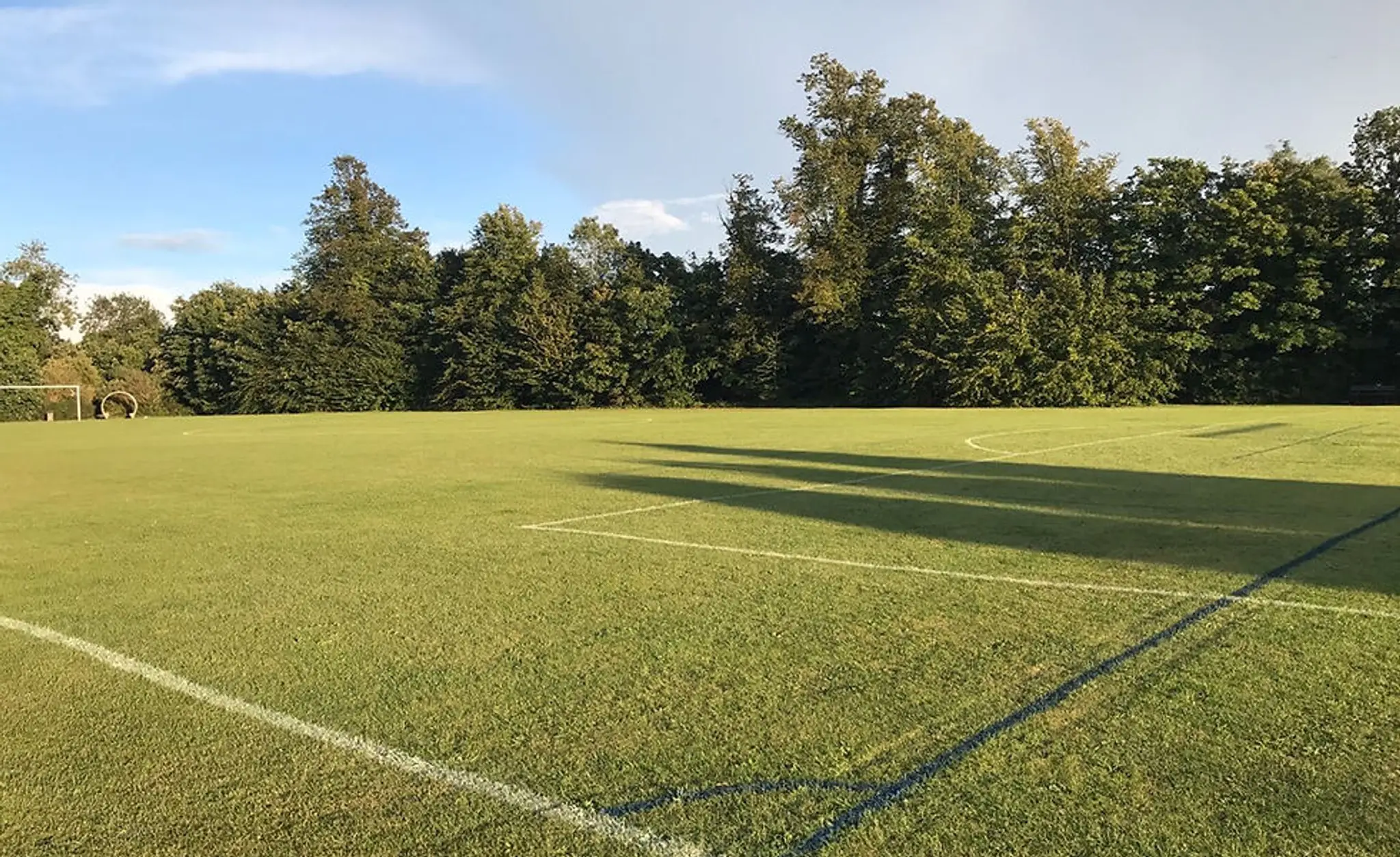 Beecholme Belles Banstead