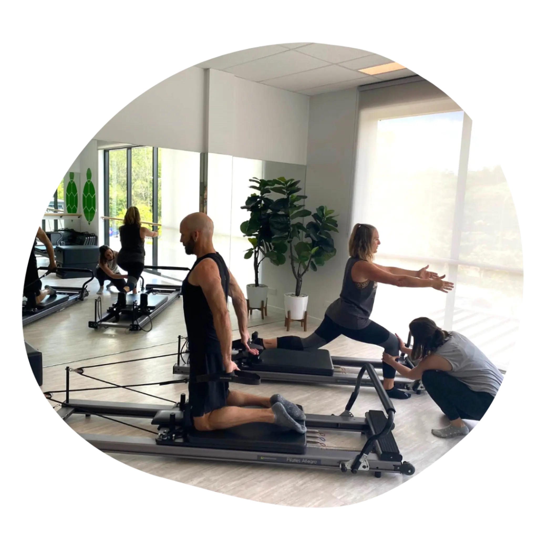 BodyLife Studio