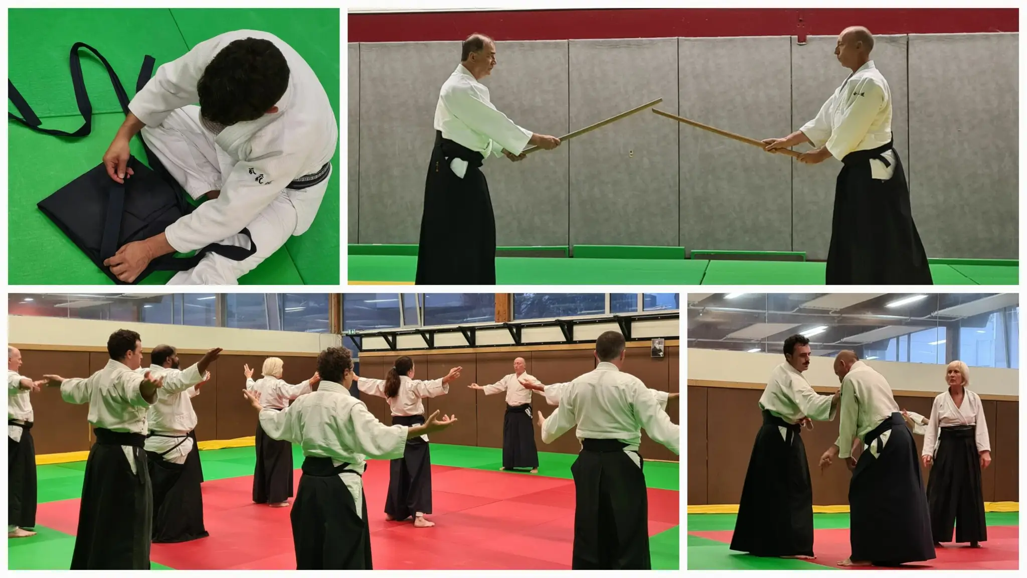 Cs Doua Aikido