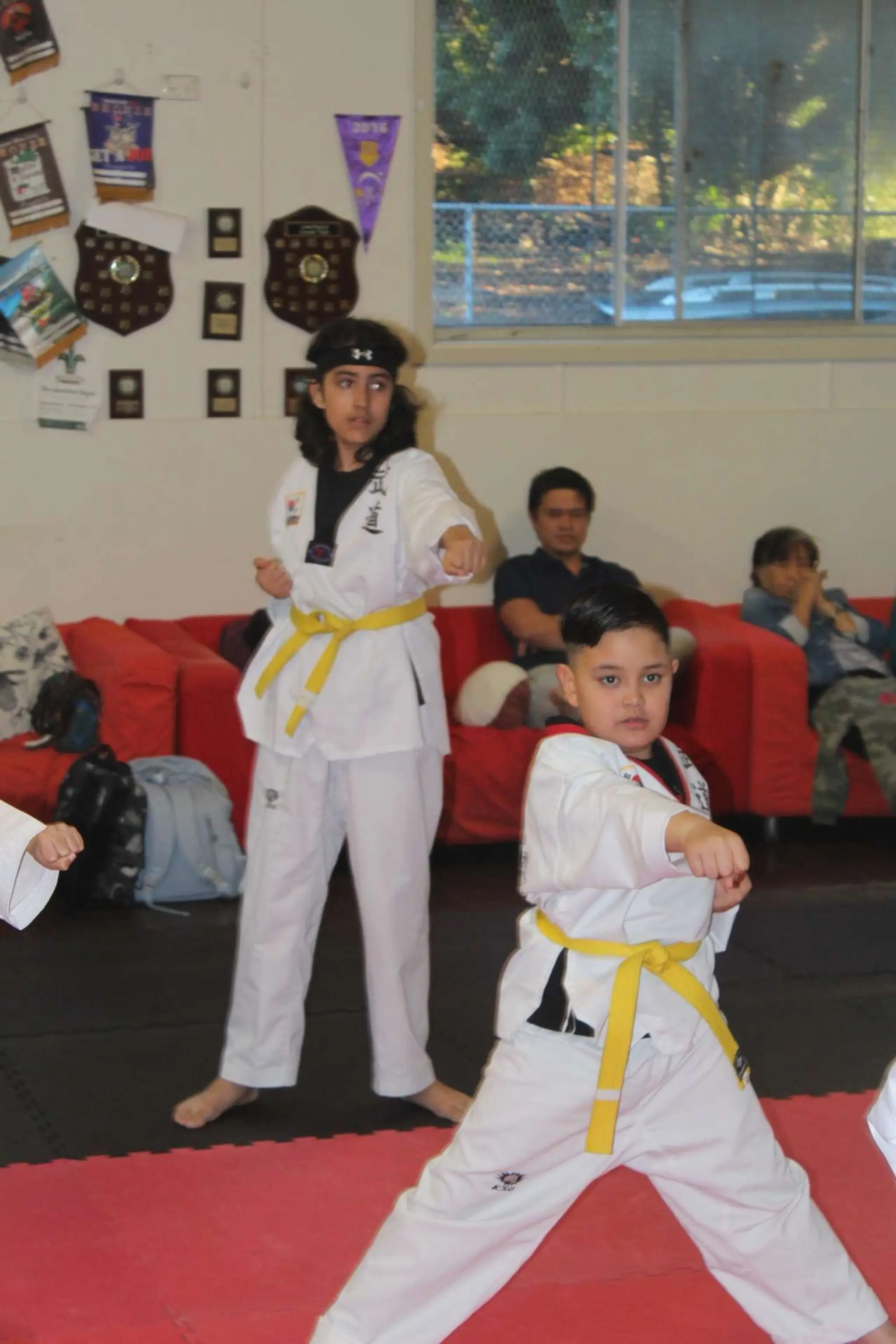 Master Kwon's Pro Tae Kwon Do Academy Kogarah