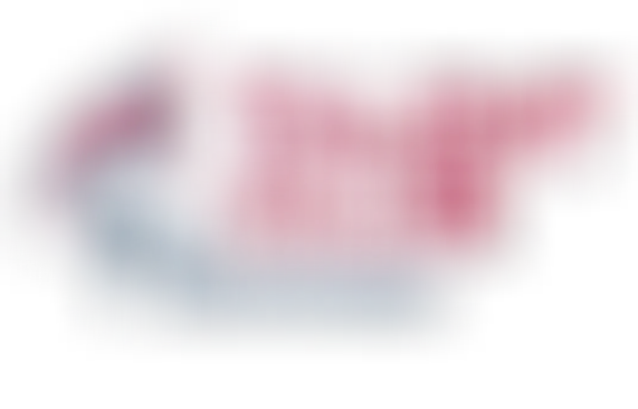 Maddogs Martial Arts | BTS Maddogs