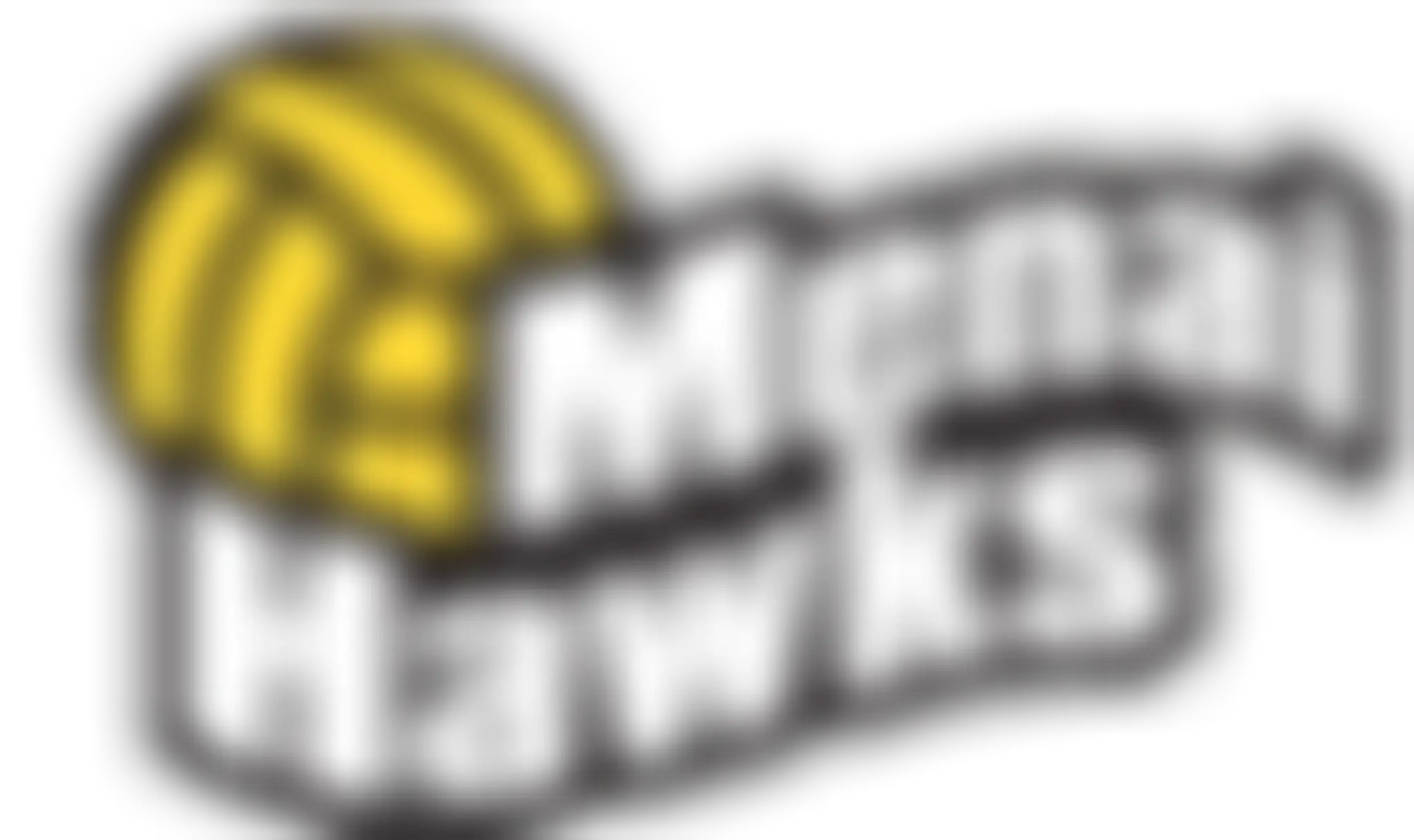 Menai Hawks Netball Club