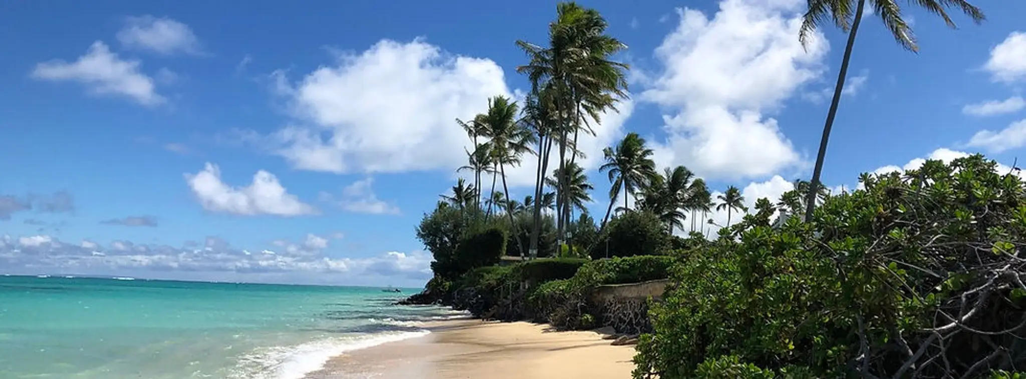 Rafael Claveau Coaching