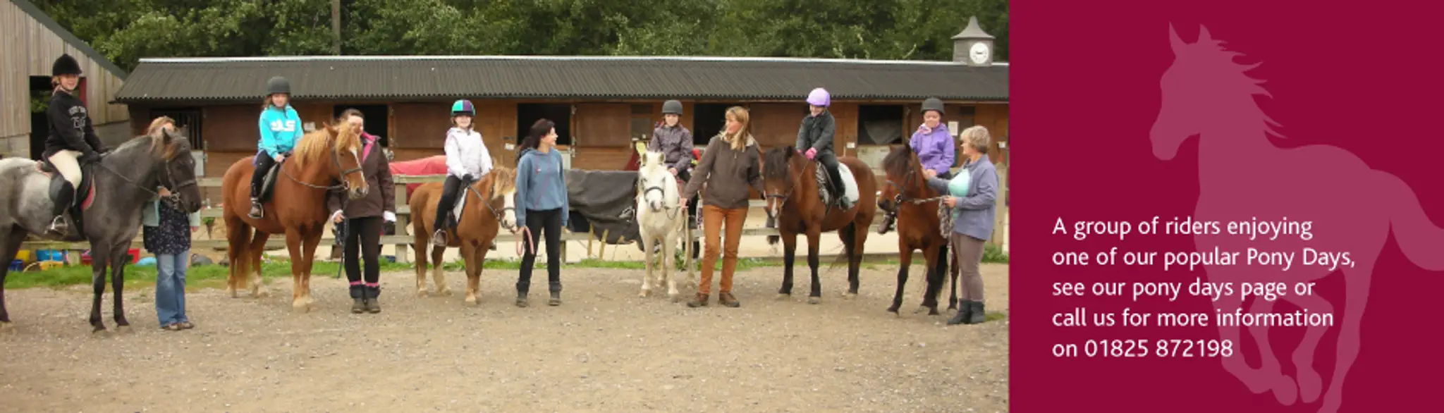 Glebe Field Riding School and Equestrian Centre