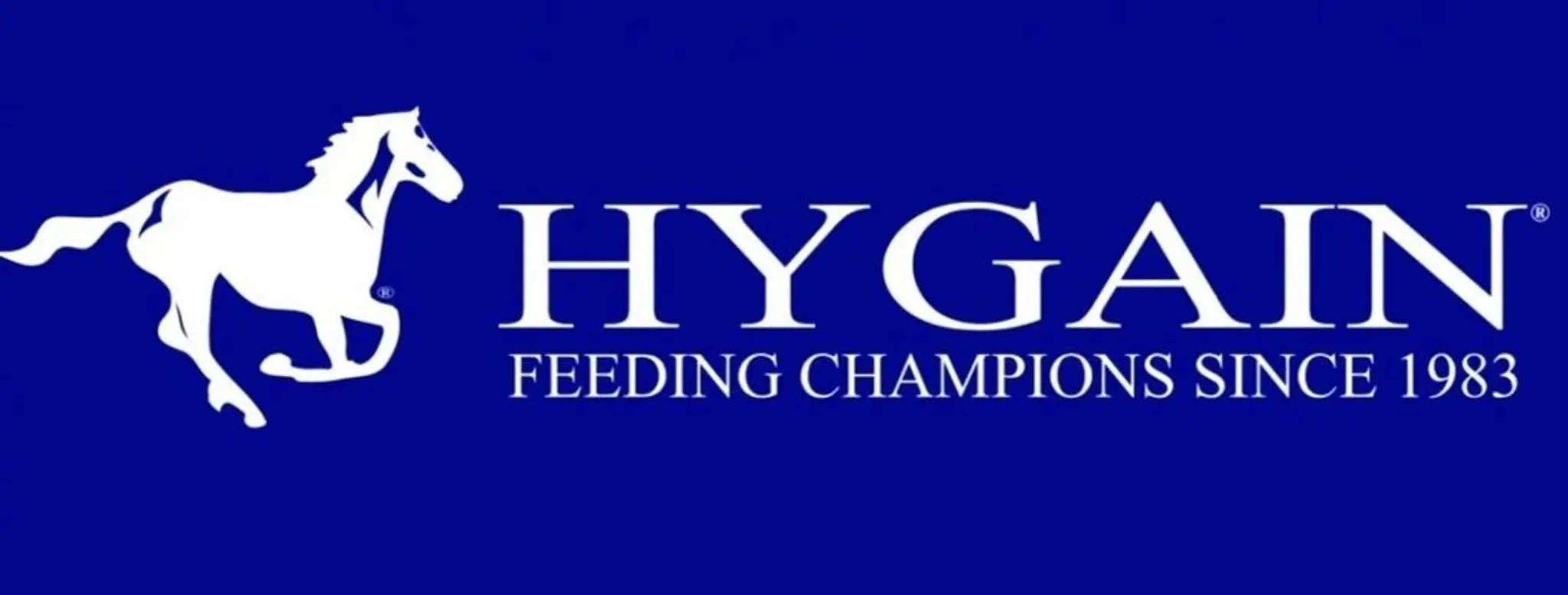 Darwin Equestrian Academy