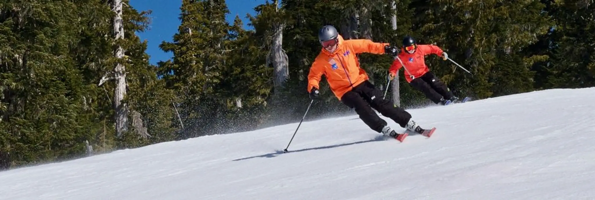 Section 8 Snowsport Institute