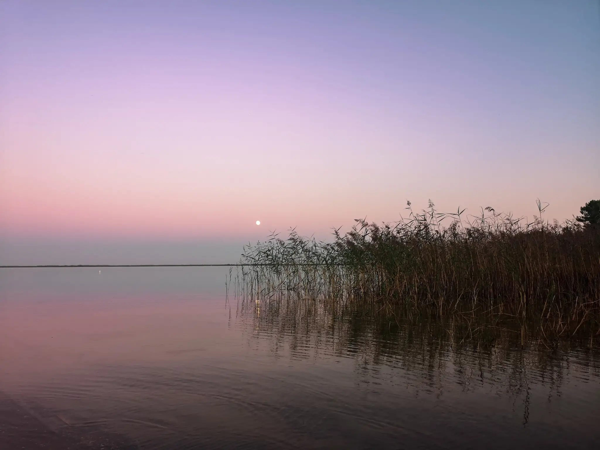 Pêche Animation Médoc