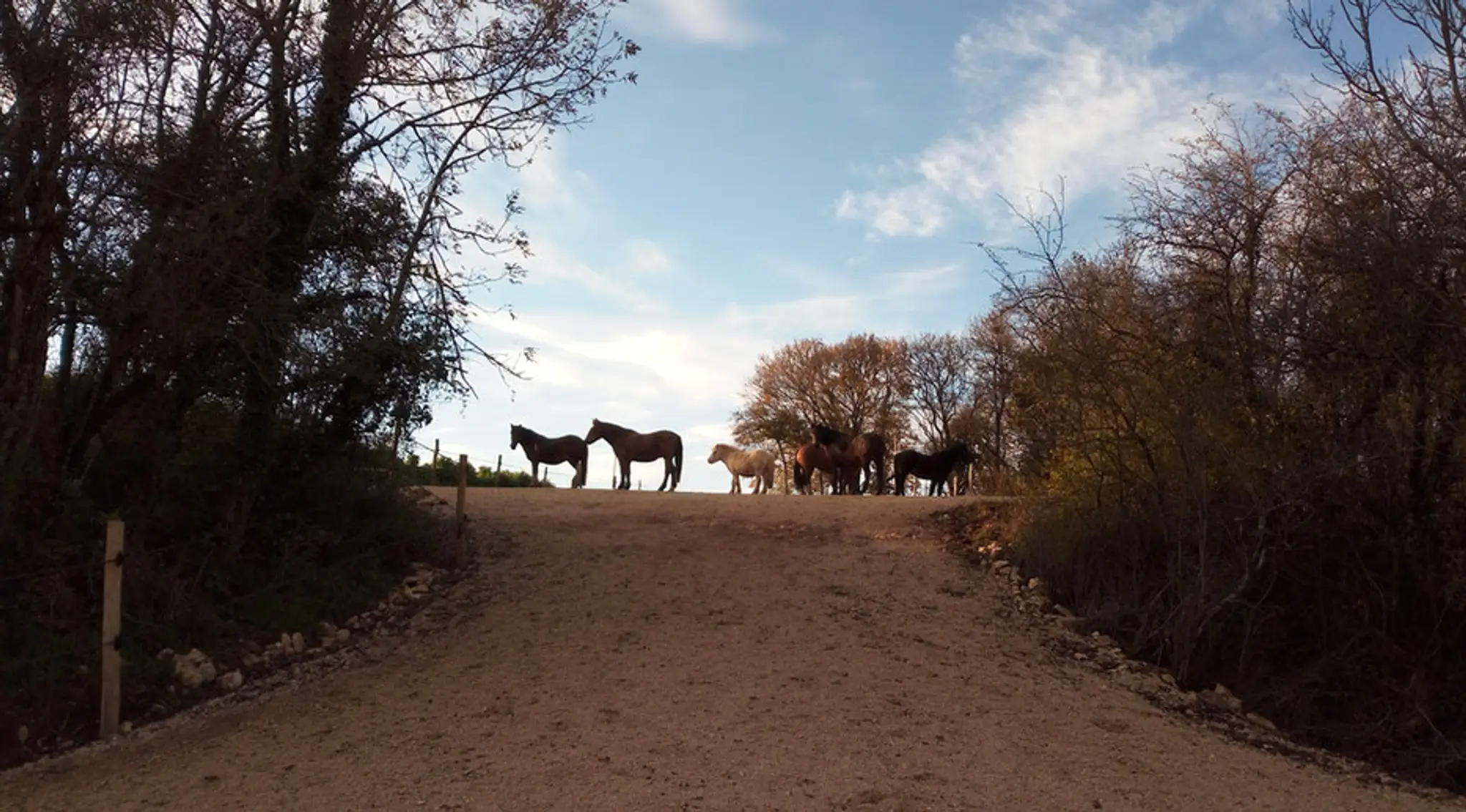 Les Chevaux De Beltane