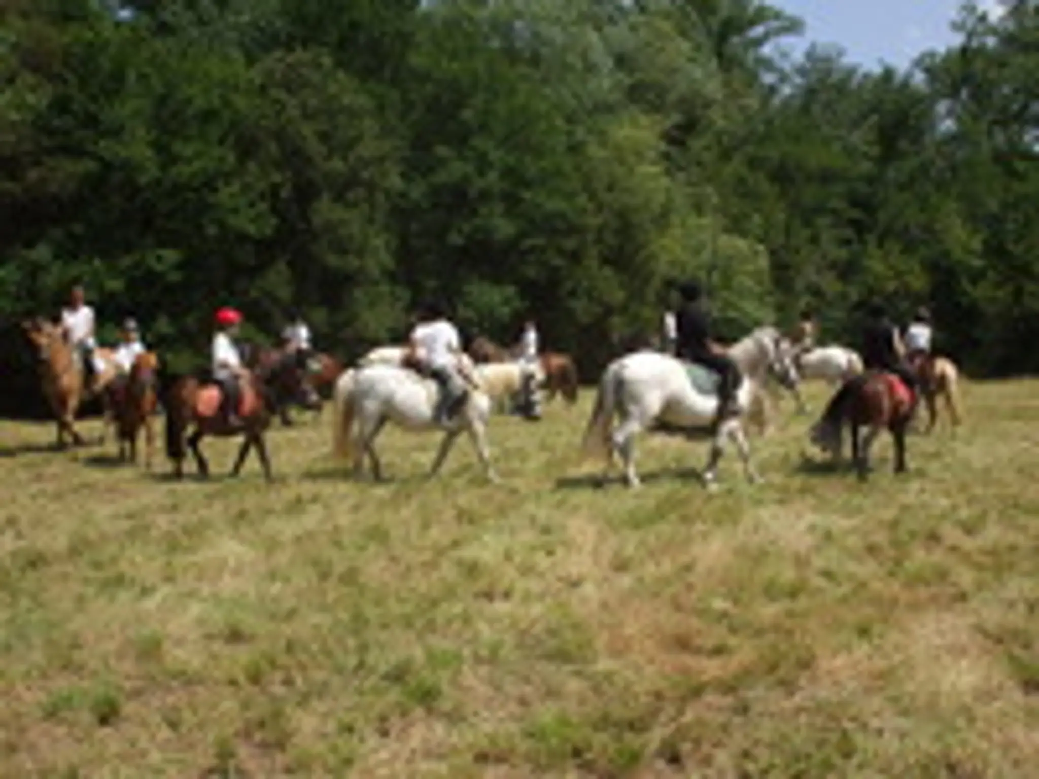 Farm Equestre De Simon