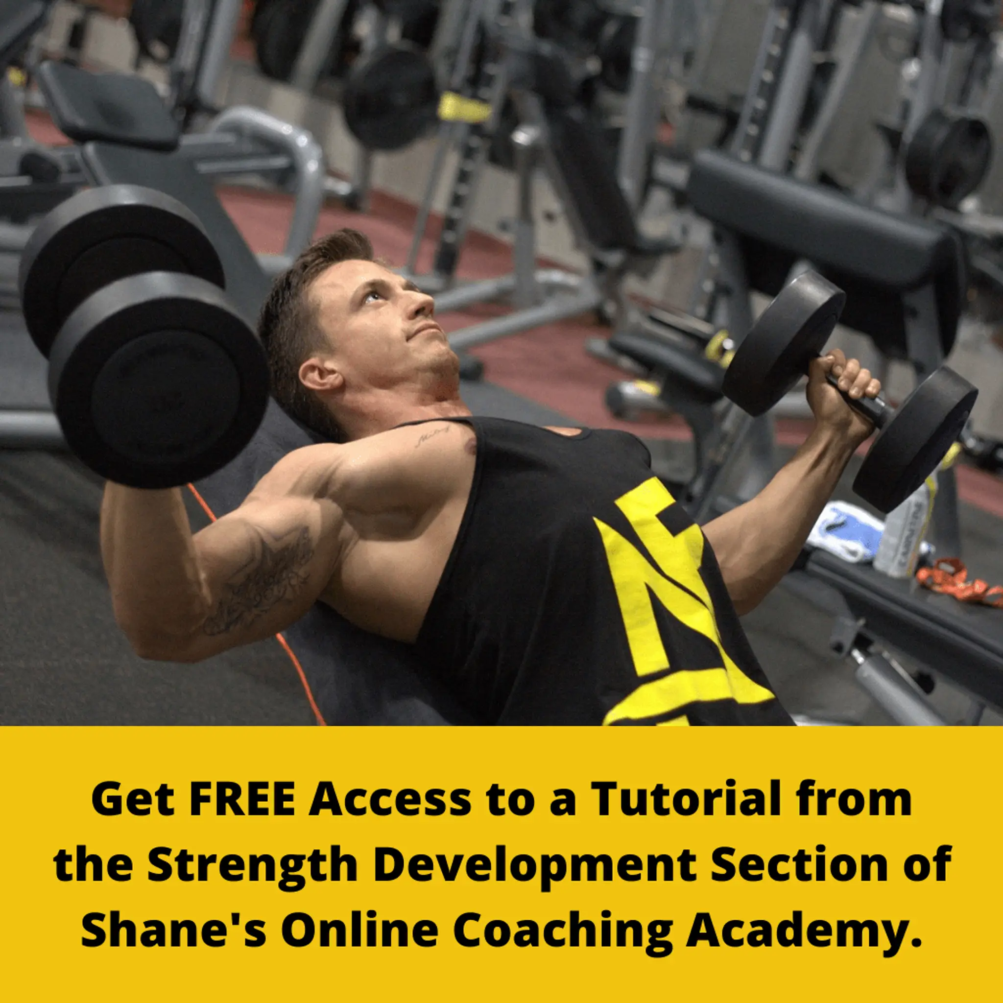NGS Gym & Rehabilitation Clinic