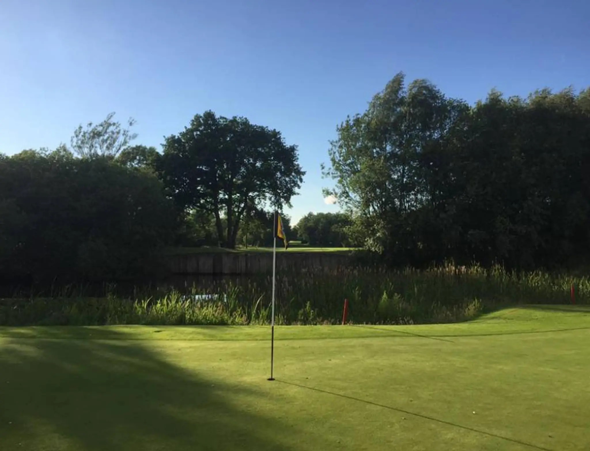 David McNicholas Golf LTD