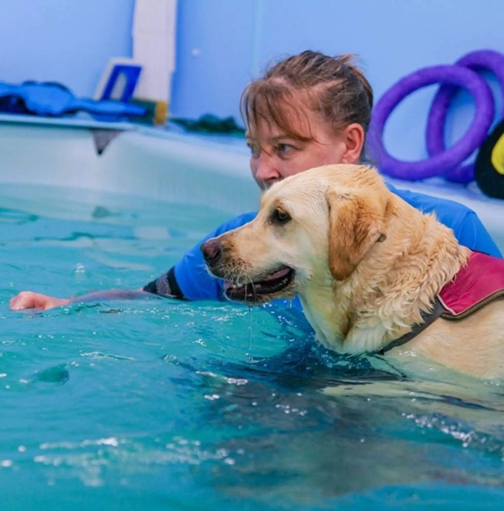 K9 Aquacise & Hydrotherapy