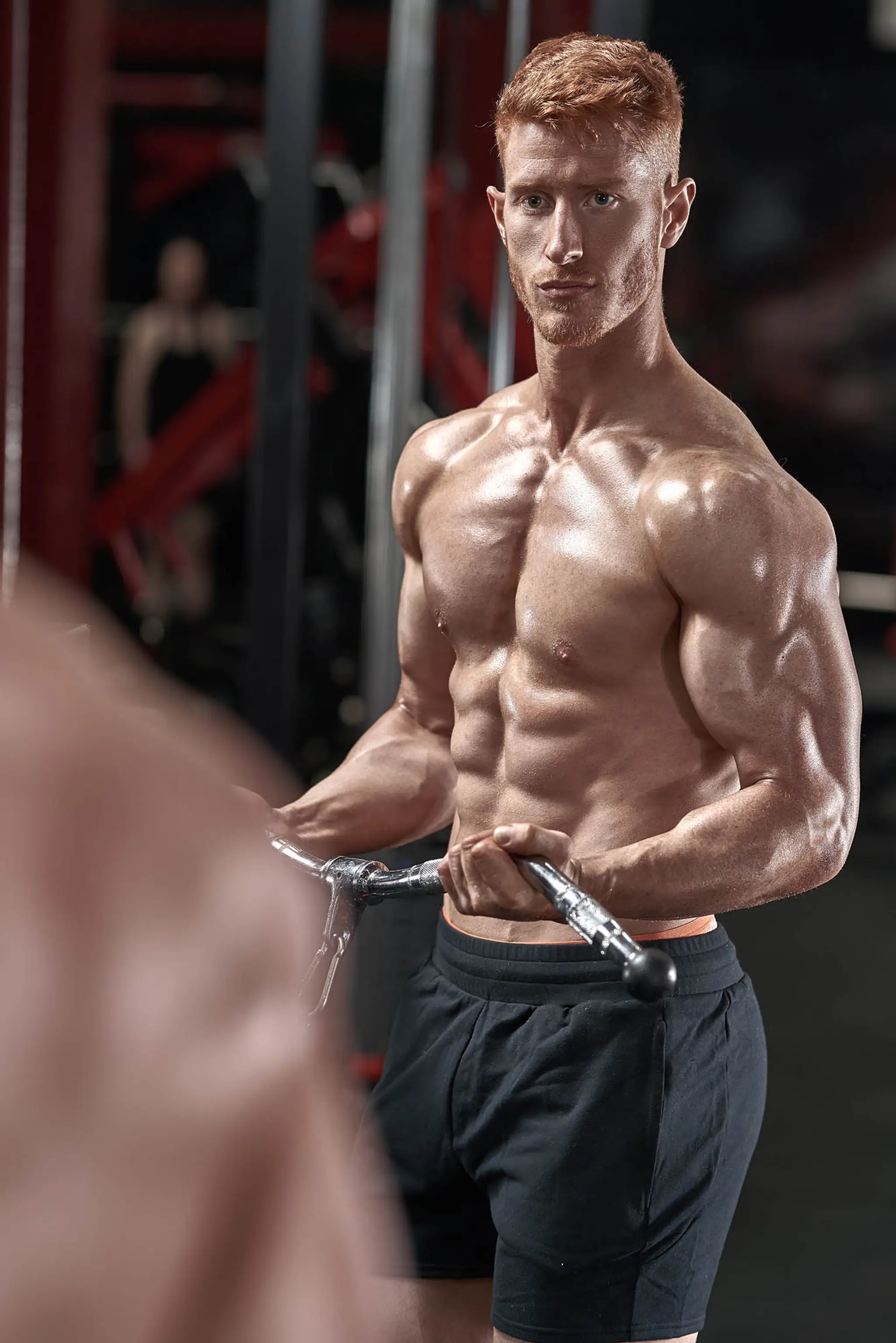 Andrew Stewart Fitness