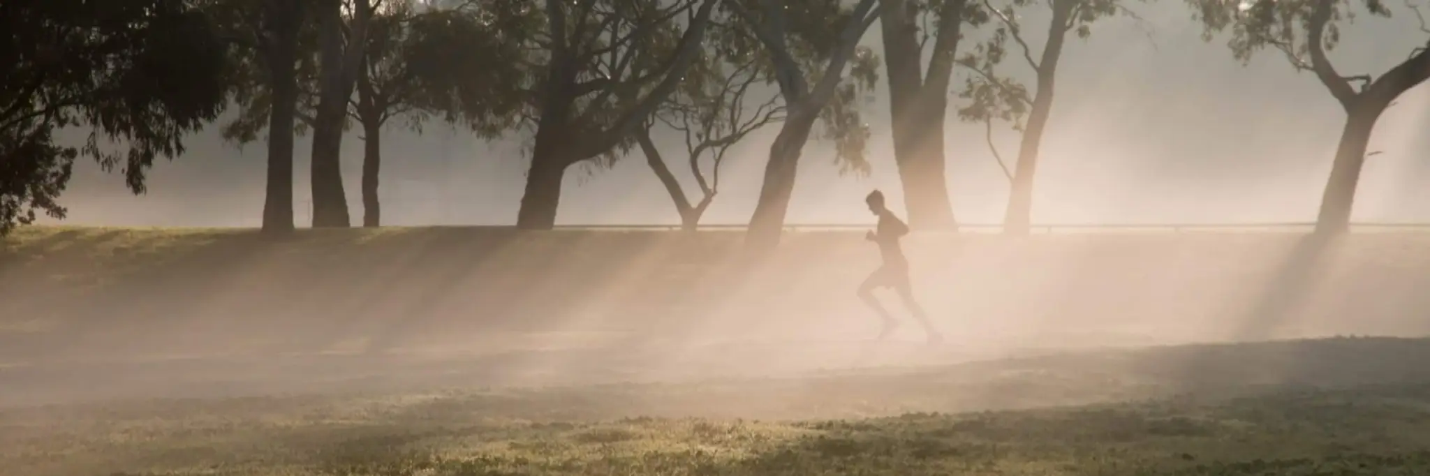 Chelsea Bicentennial parkrun