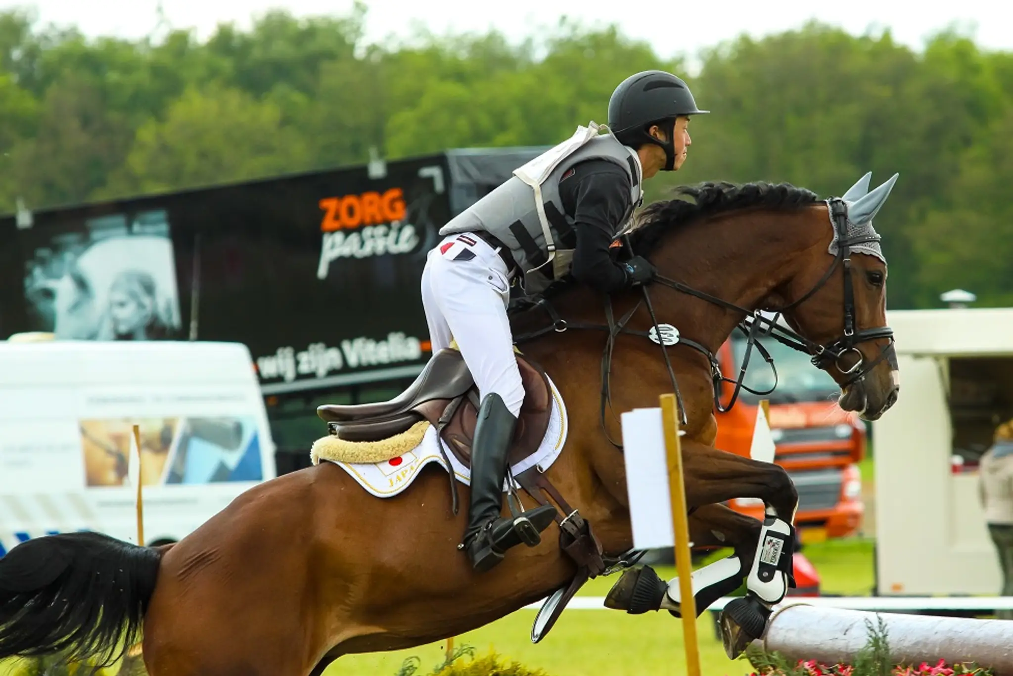 Japanoz Equestrian & Racing Stables