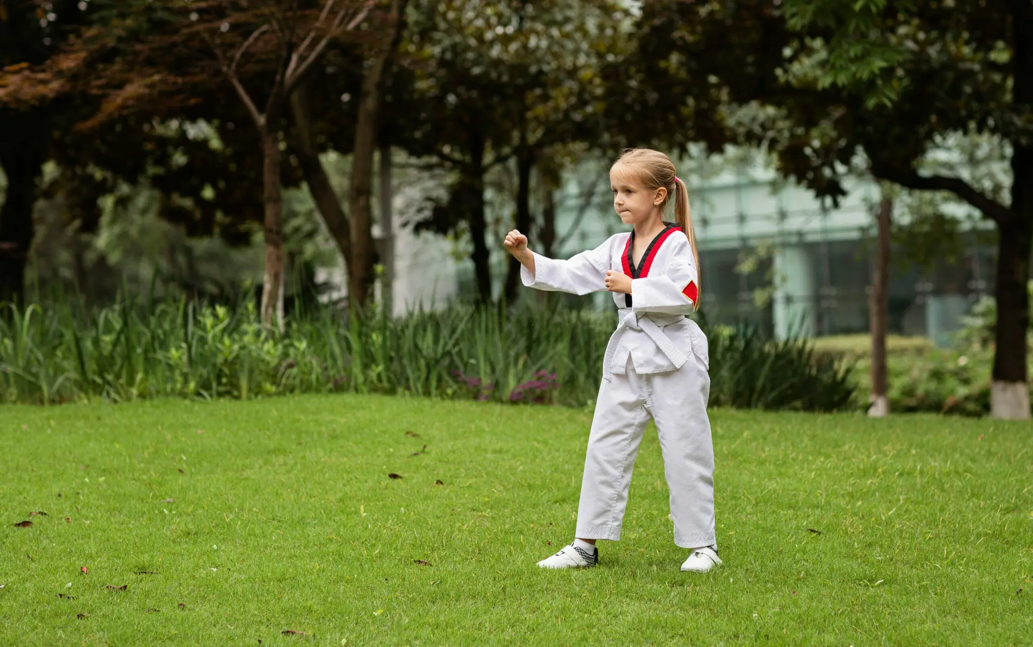 Star Martial Arts - (Thursday Class )