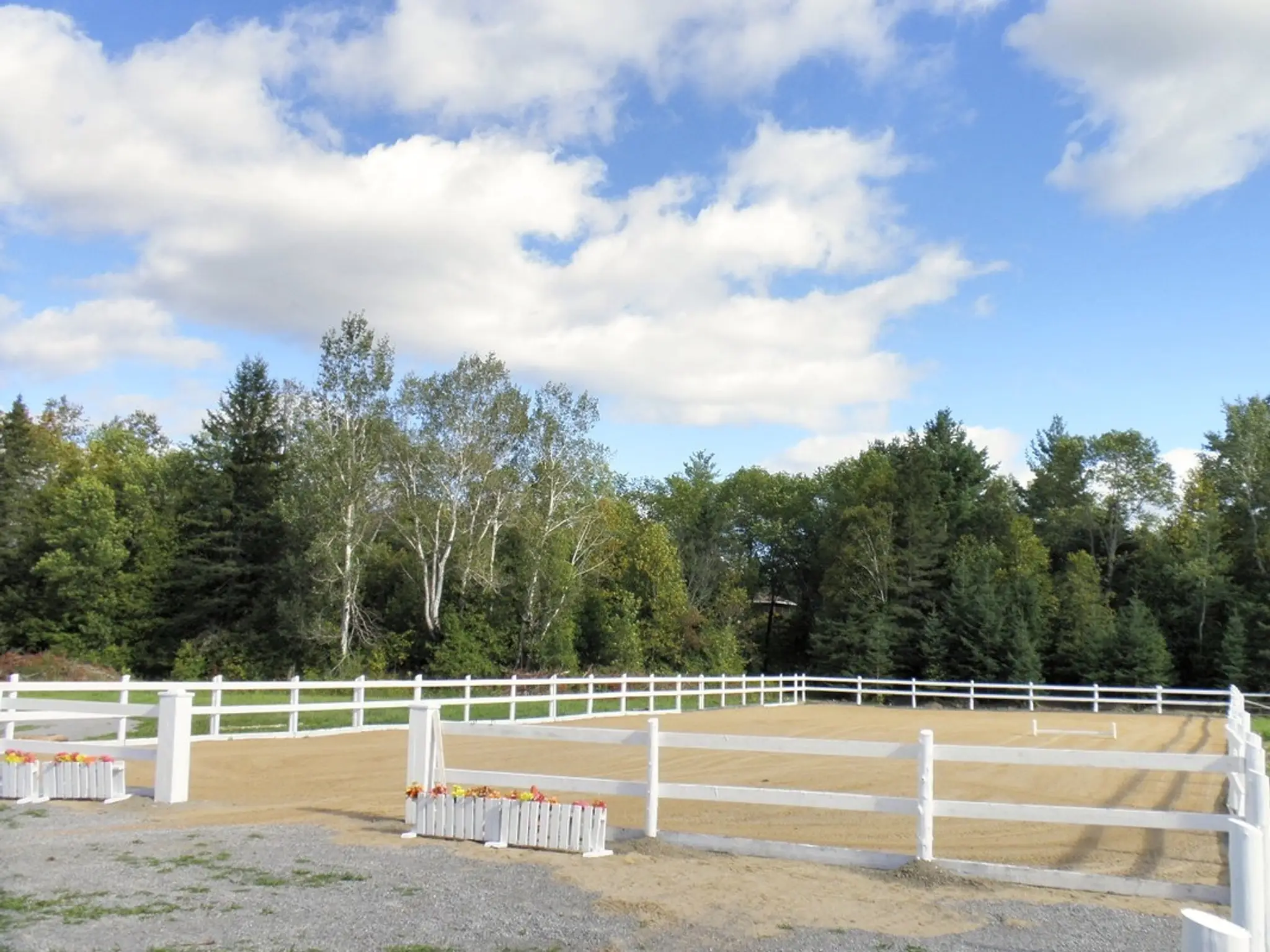 Silver Tree Stables