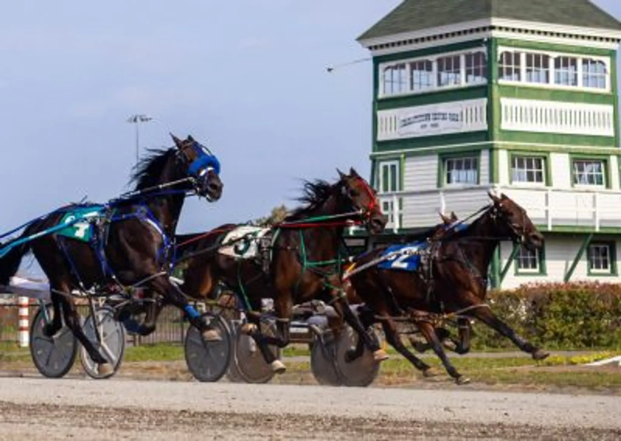 Red Shores Racetrack & Casino