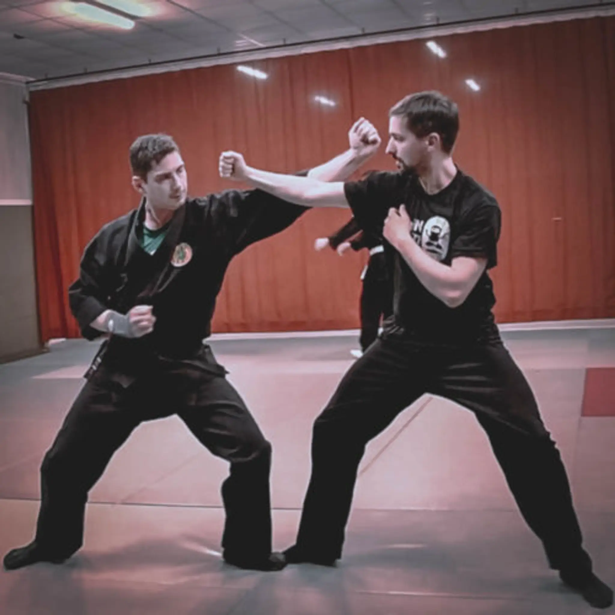 Bujinkan Ninjutsu France Paris Vincennes
