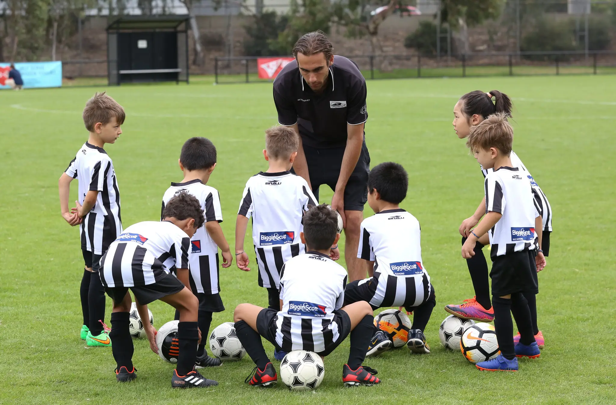 Collingwood City Soccer Club