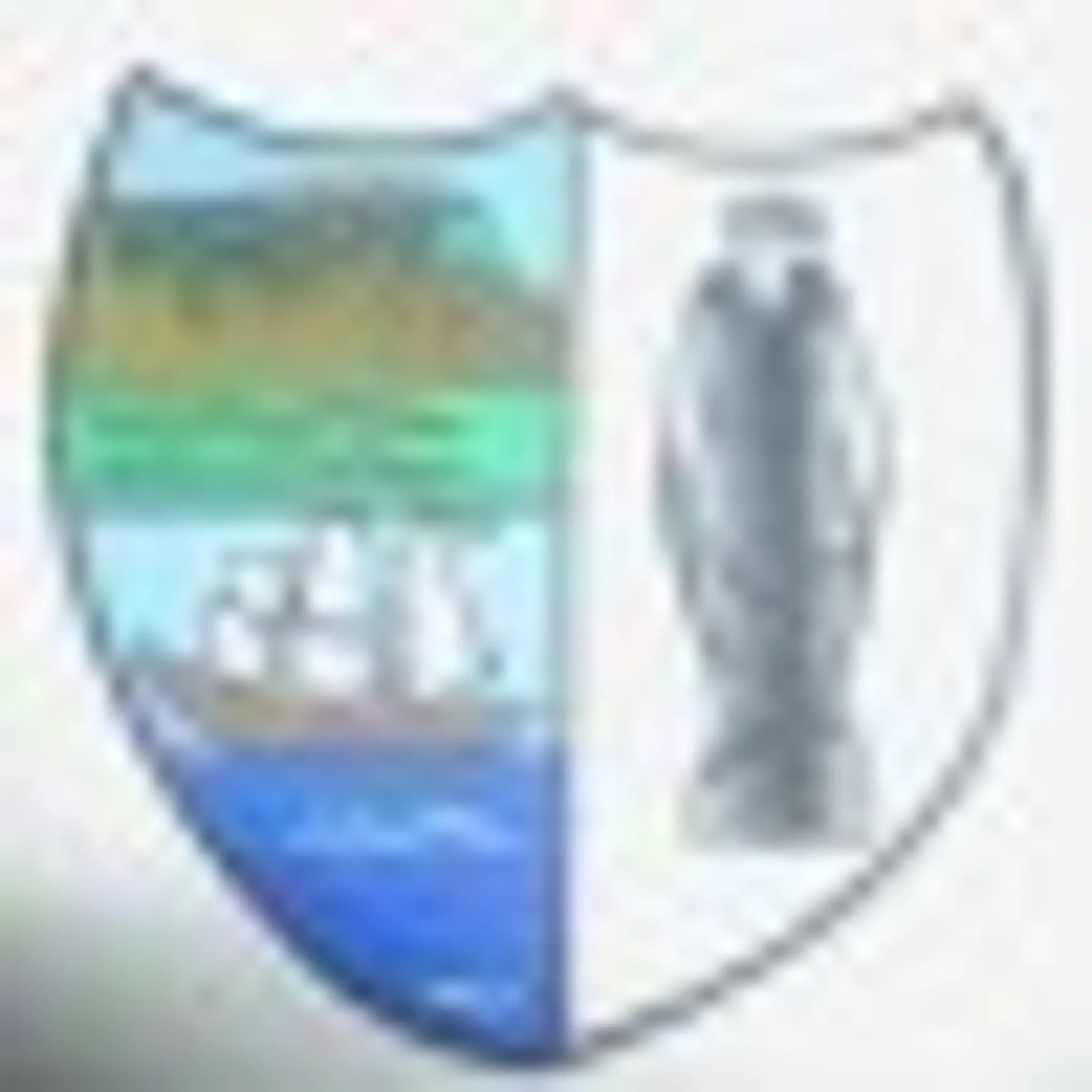 St. Molaise Gaels Club House