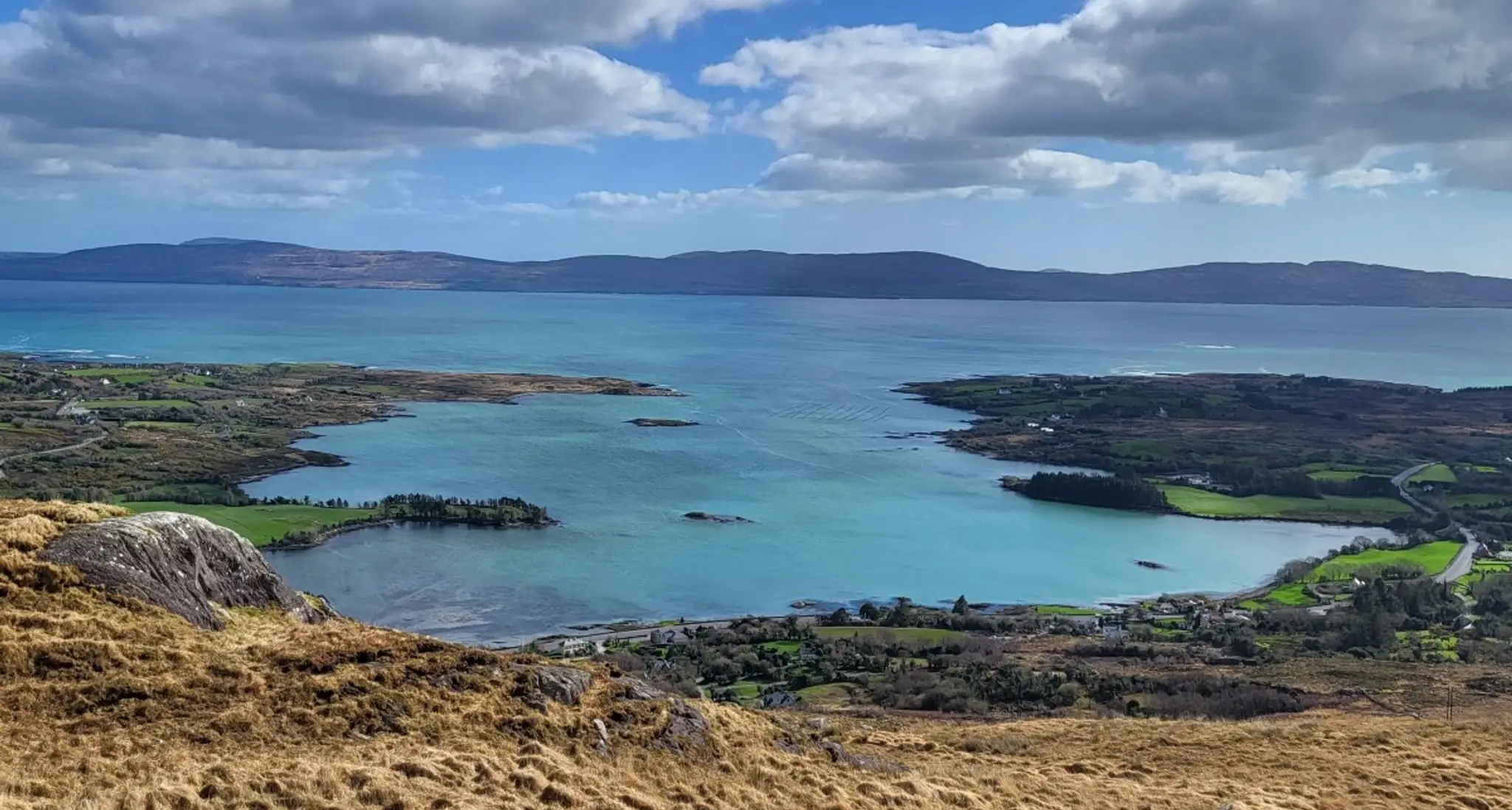 West Cork Sailing Centre / Wild Atlantic Wildlife / Kayak with the Seals