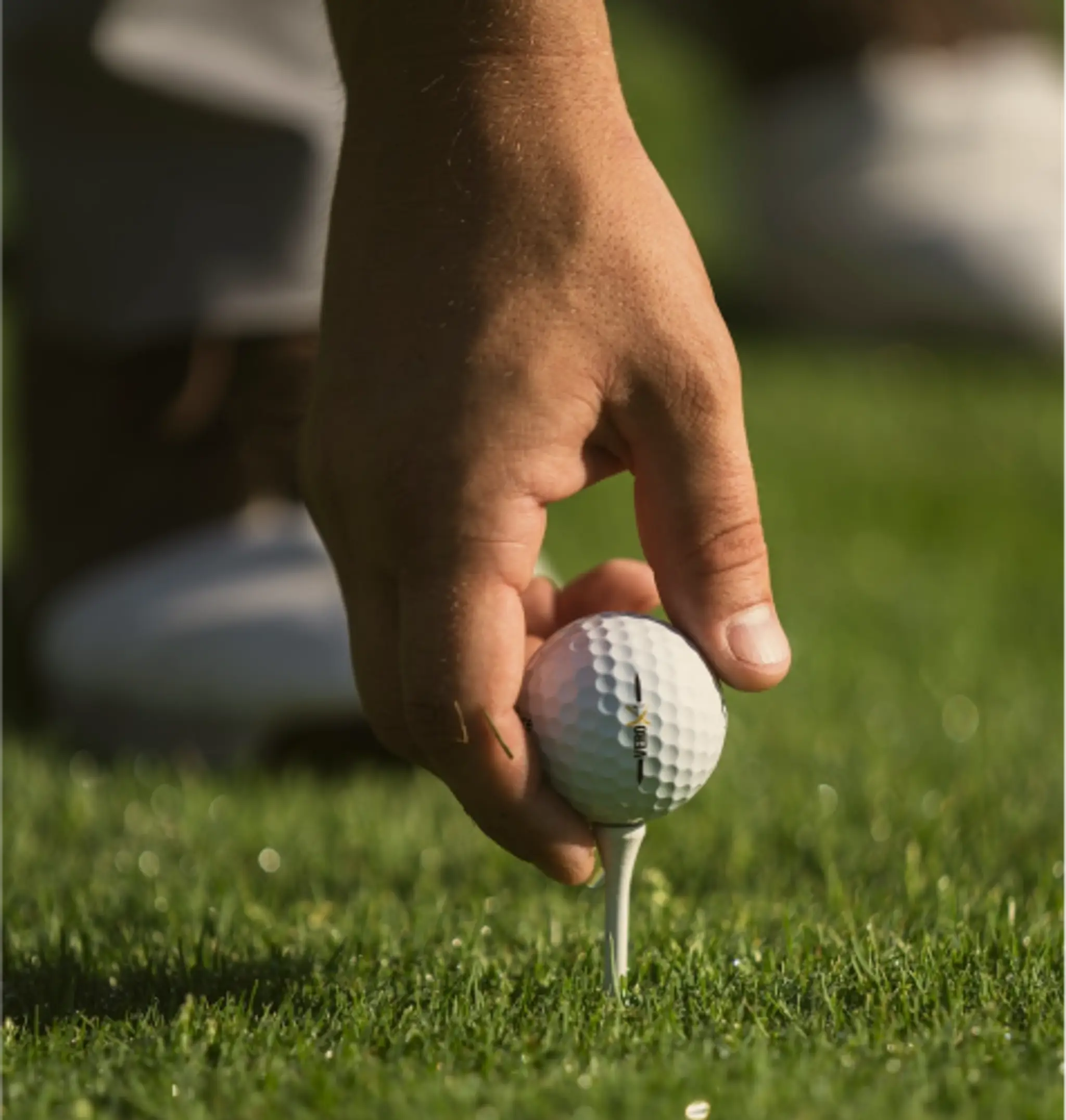 Willingdon Sports Club