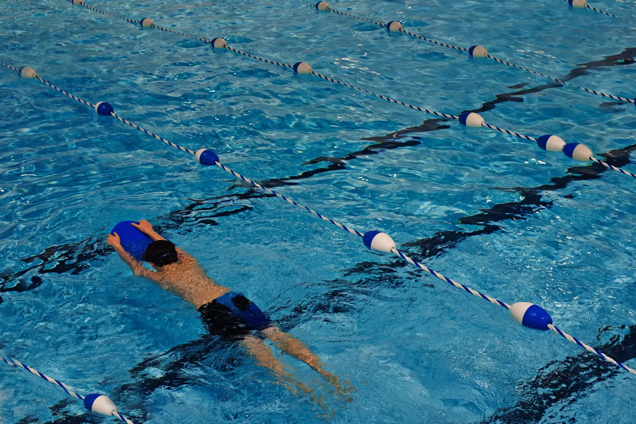 DAUPHINS DE CHATELLERAULT