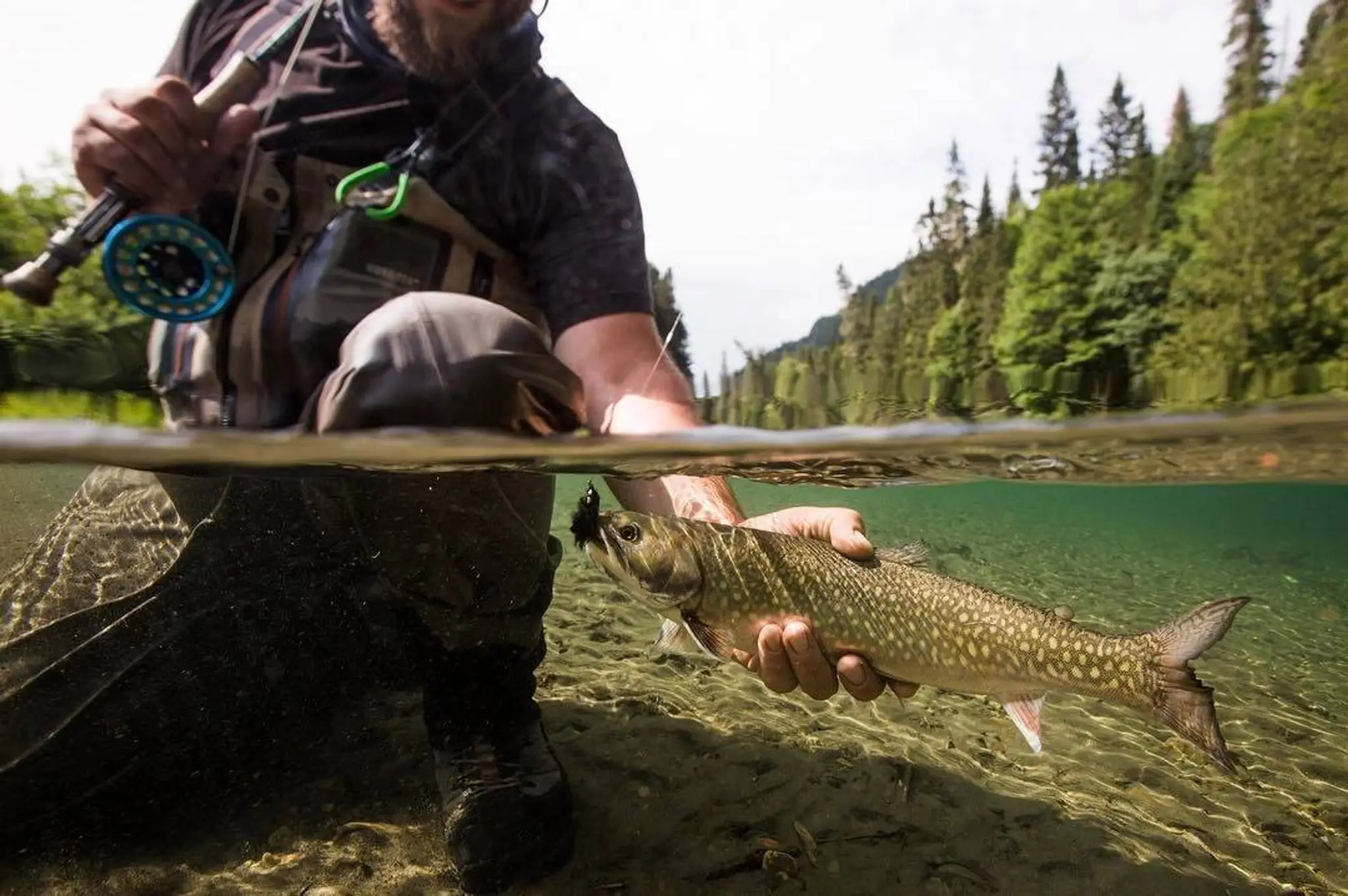 Zec Petite Cascapedia