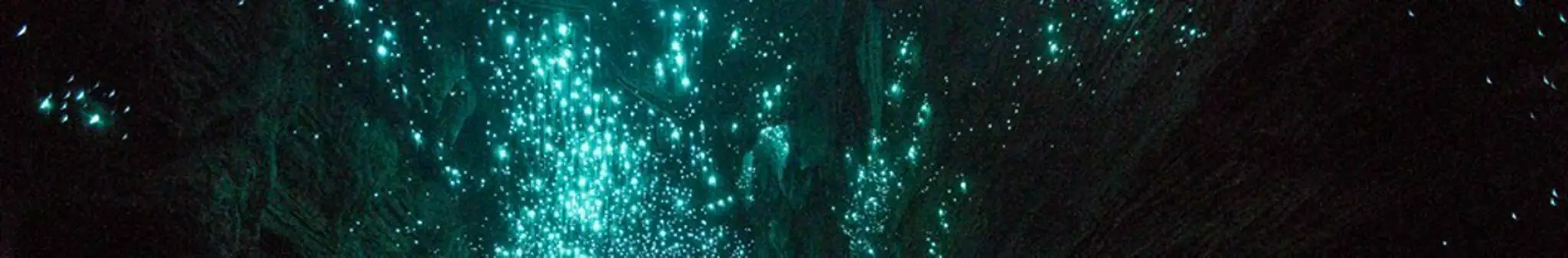 Kiwi Cave Rafting - Black Water Rafting - Waitomo