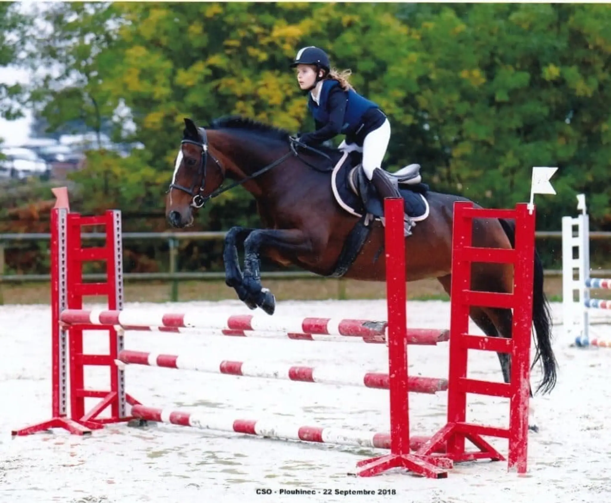 School Riding De Guerlogoden