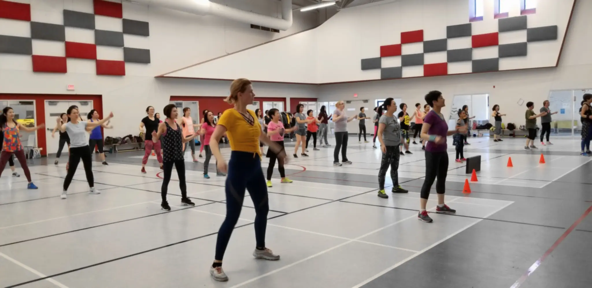 Zoombaa Zumba Party Club in Markham