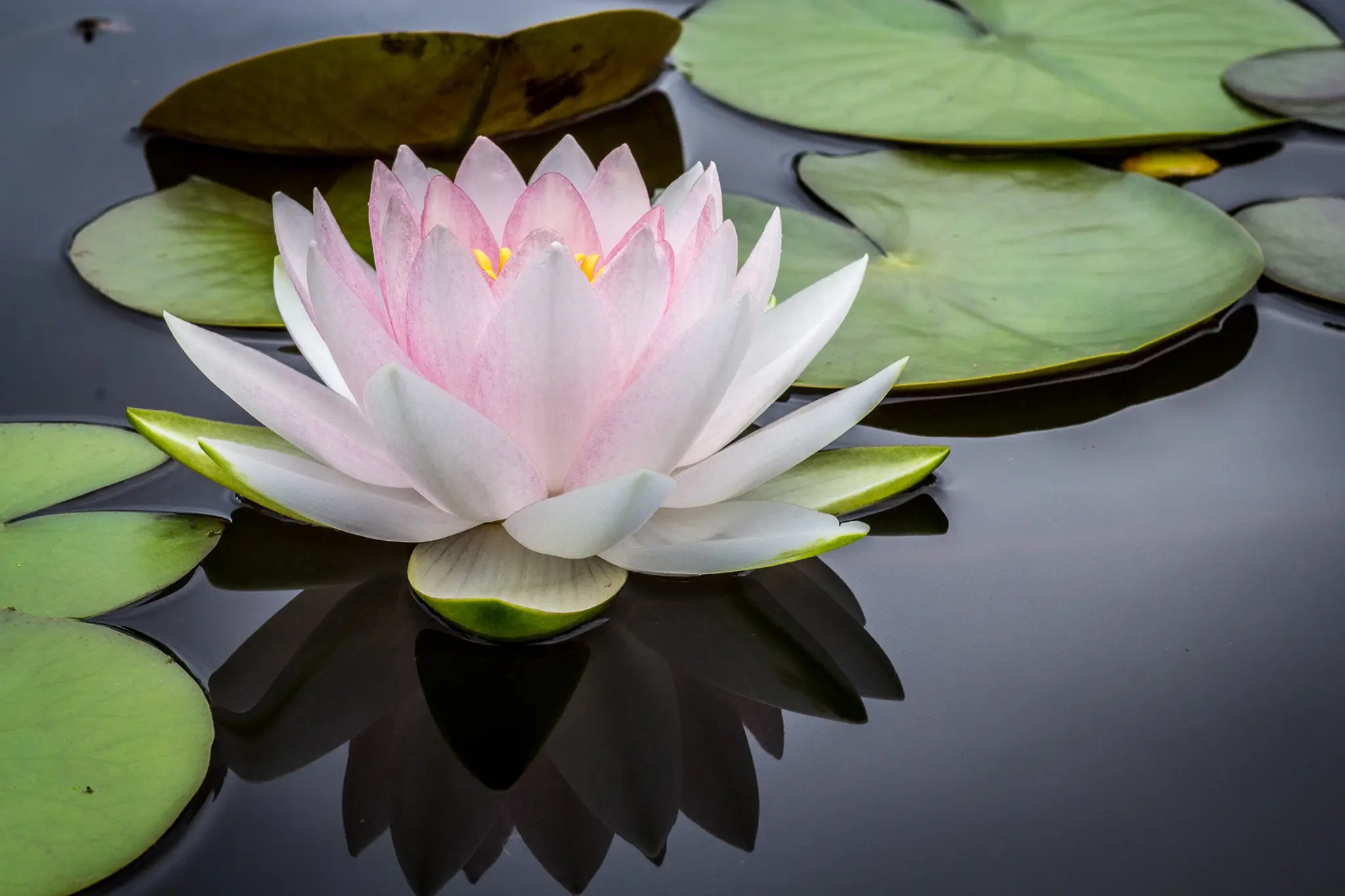 Ananda Yoga Rodez