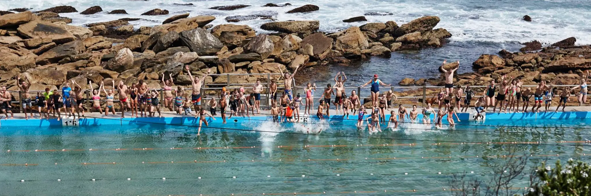 Freshwater Amateur Swim Club