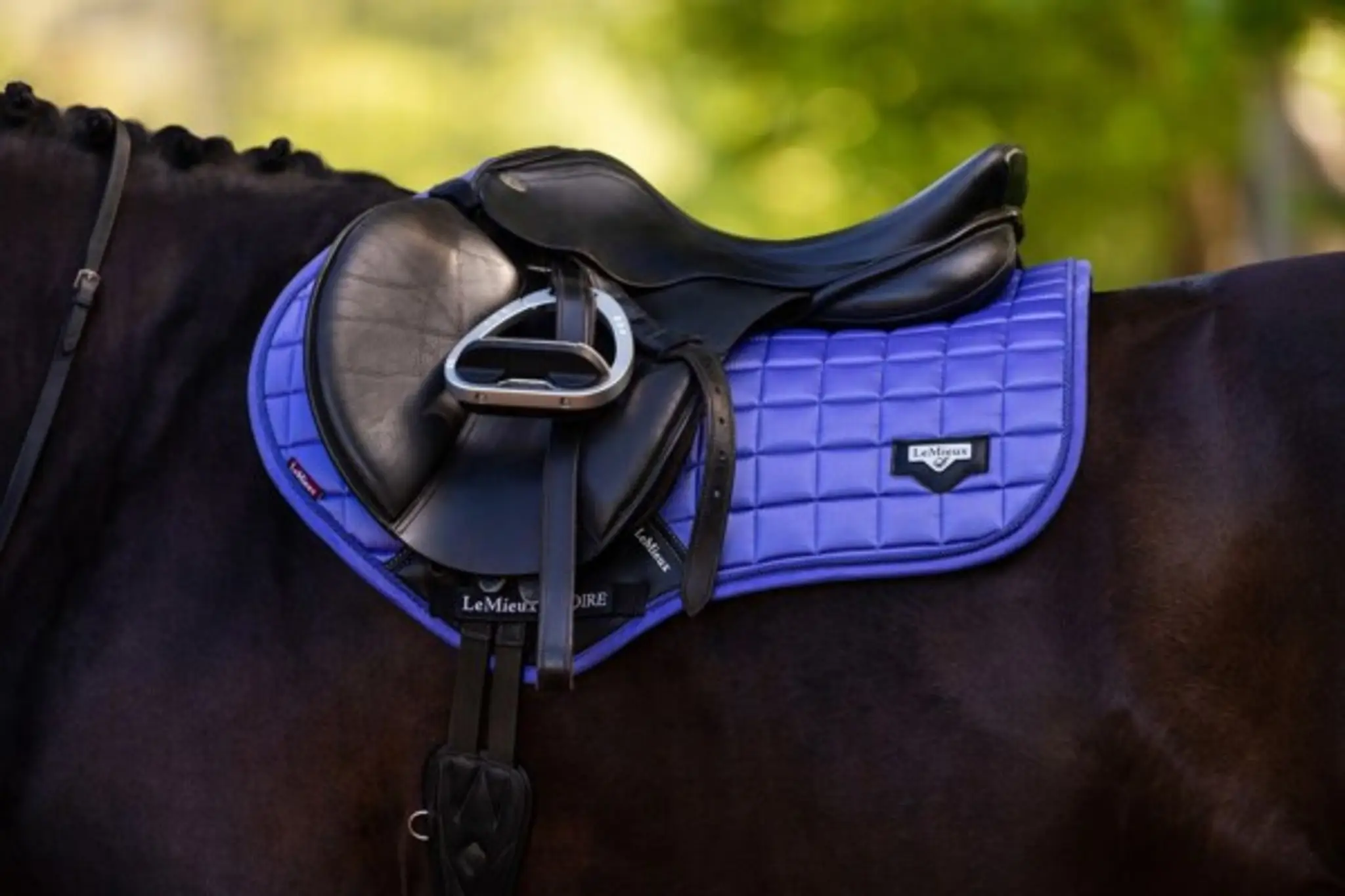 Fountain City Saddlery