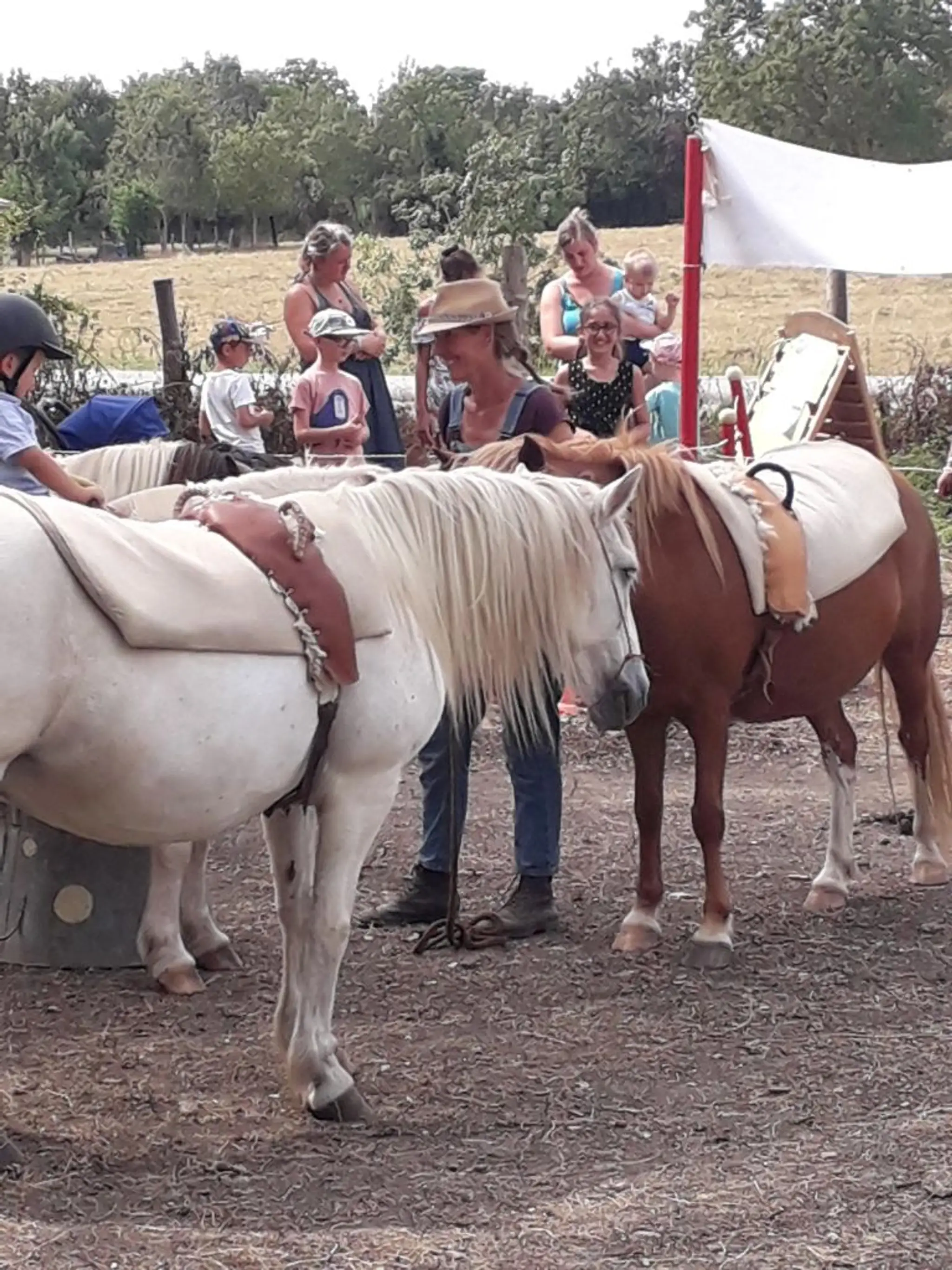 L ECOLE DU CHEVAL