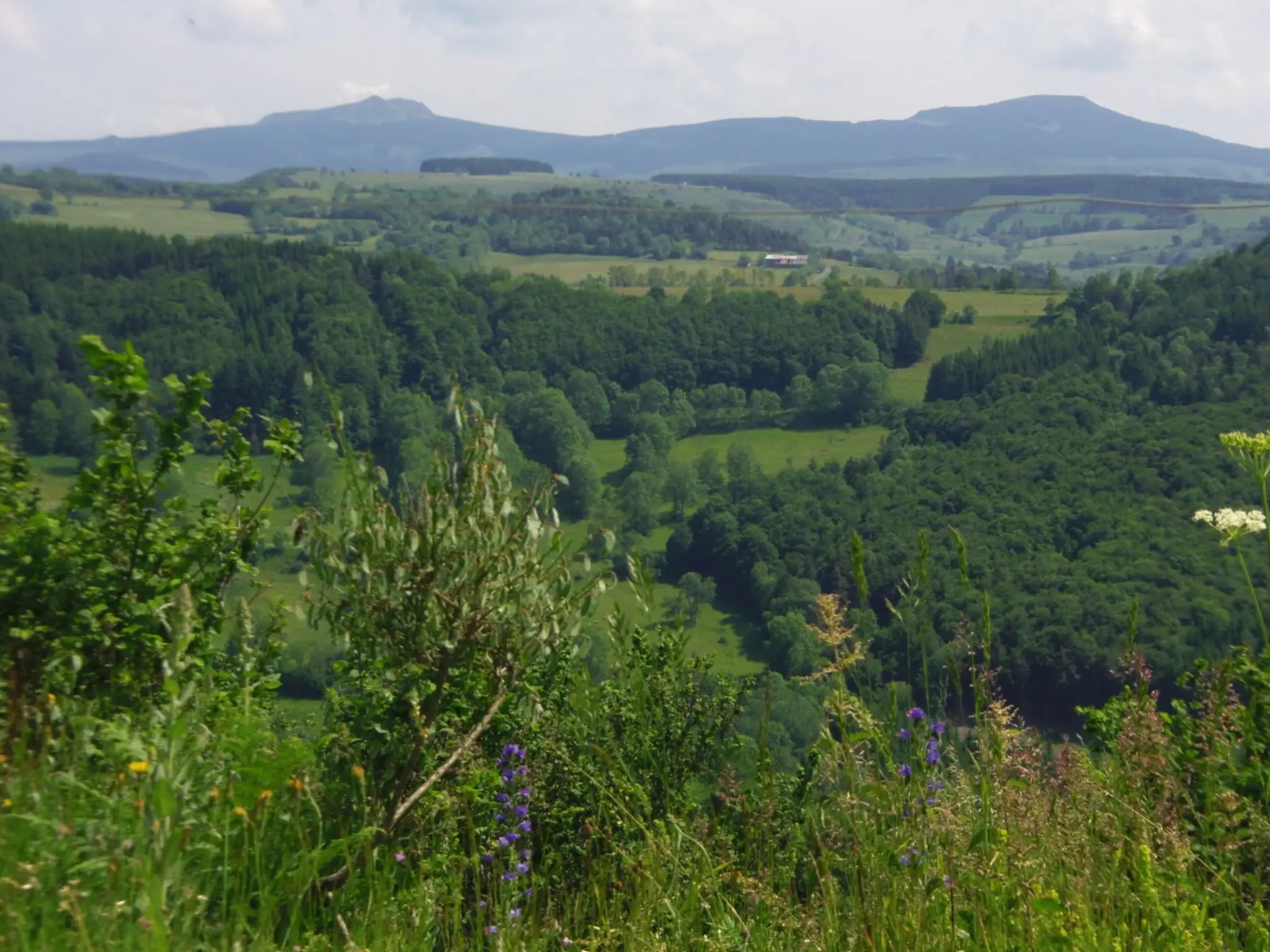 Espace nature de Sabatoux