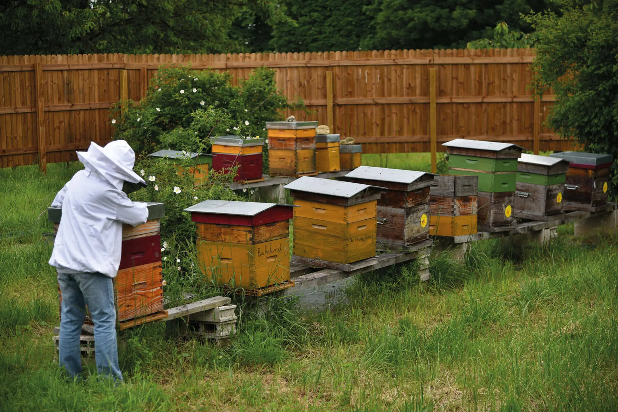 Piscine Municipale d'İvry-Sur-Seine