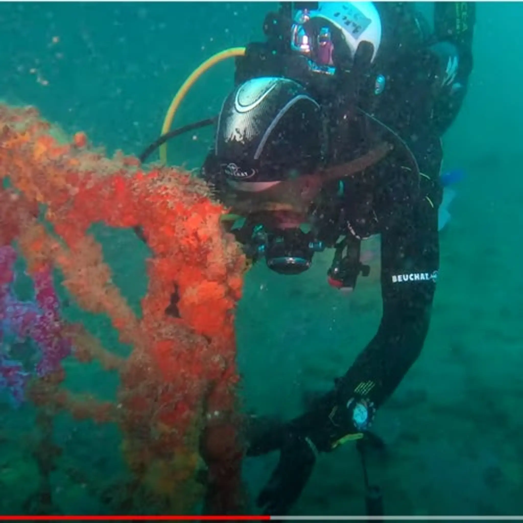 Dive HQ Auckland, Academy of Scuba, Mt Roskill