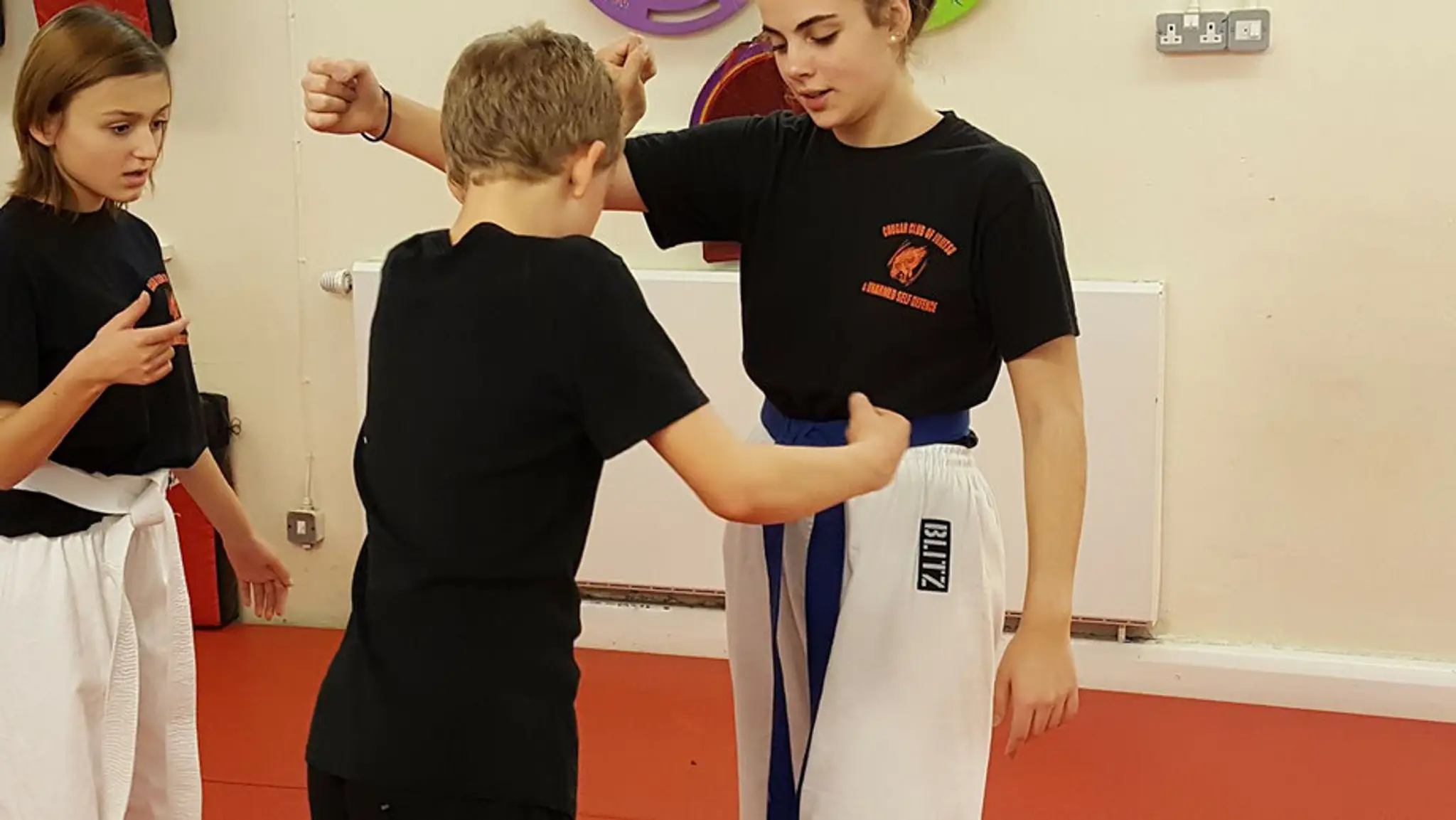 Cougar Club of Jujitsu and Unarmed Self Defence