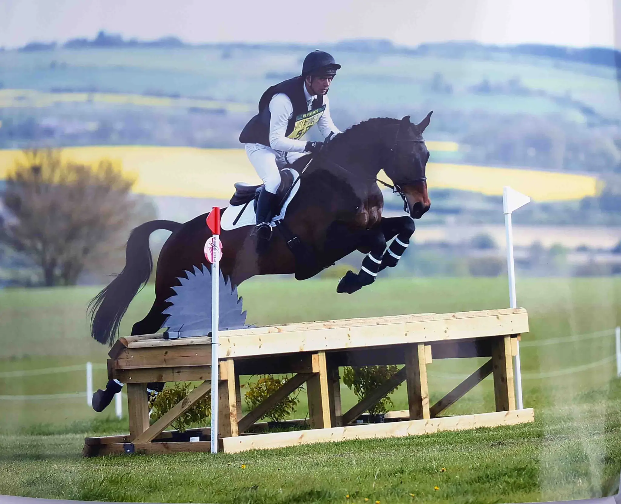 Training with Dan Bizzarro