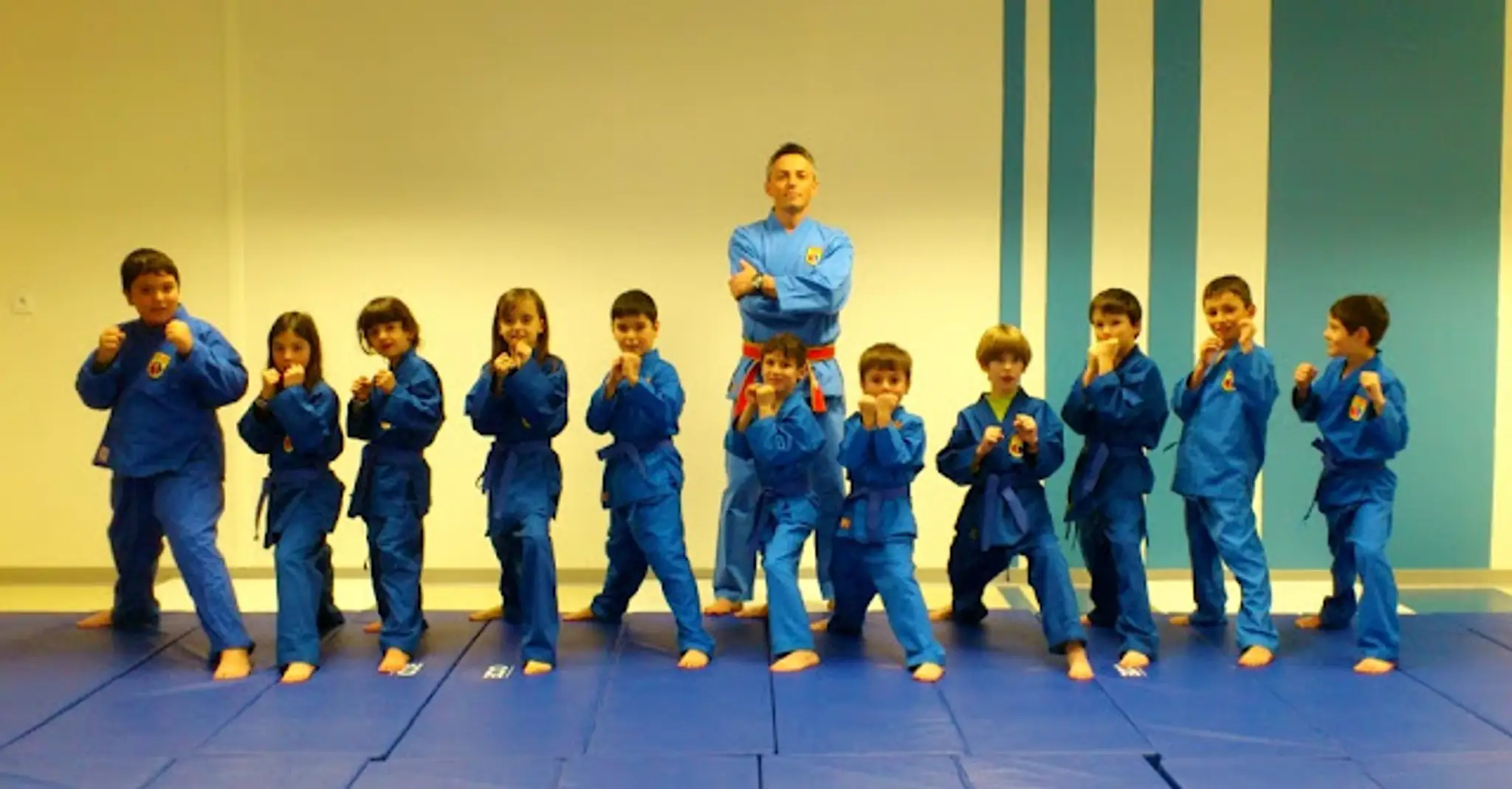 Viet Vo Dao Vovinam Occitan