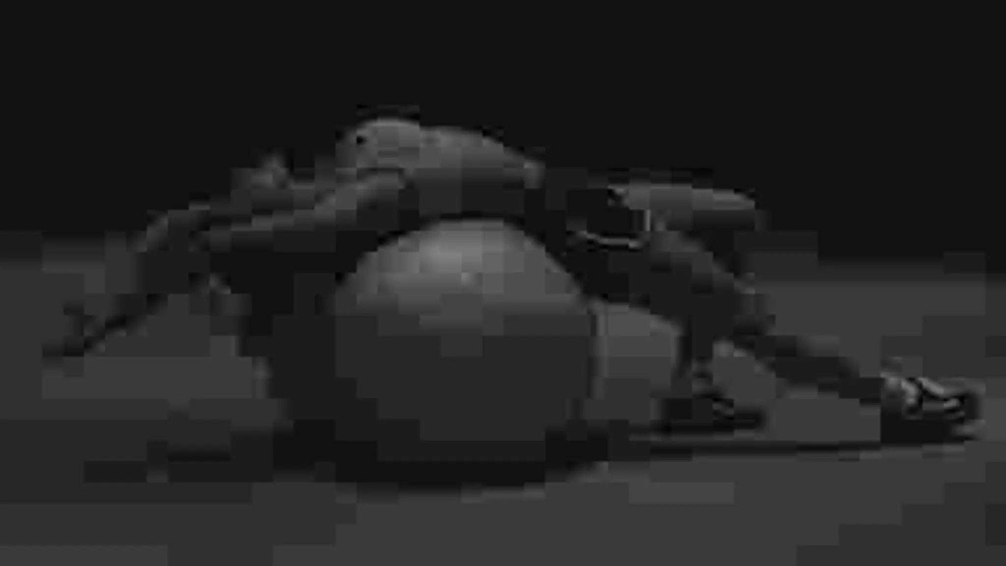 Push Pull Jump Sports Therapy, Strength and Conditioning