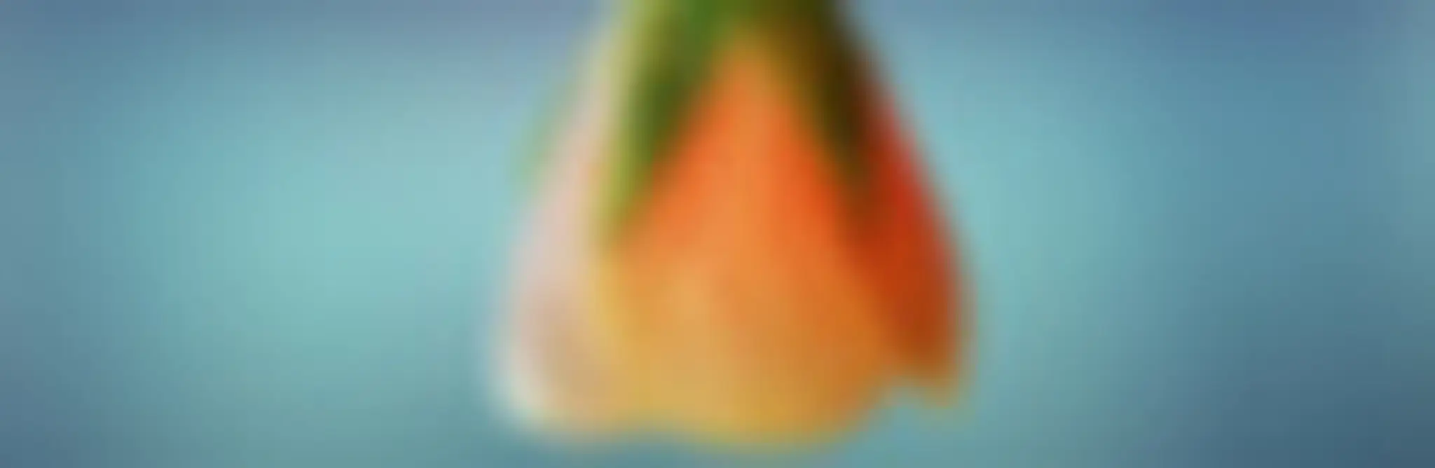 Guru Ram Daas Trust Kundalini Yoga