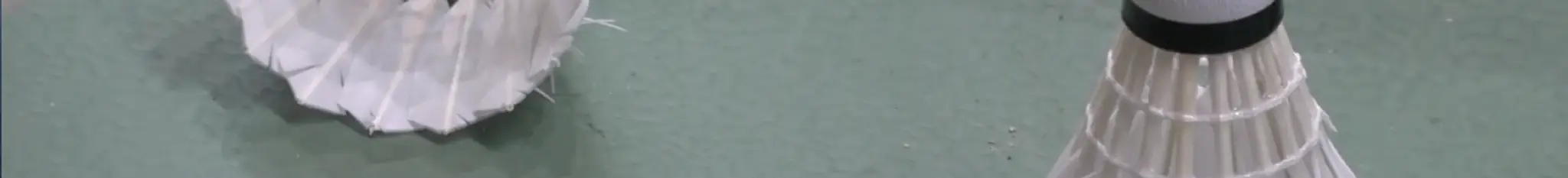 Club de Badminton Villeneuvois